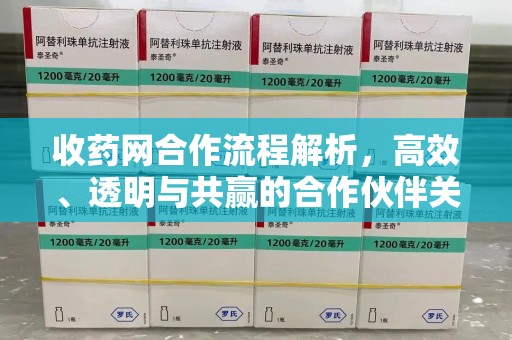 潍坊收药网合作流程解析，高效、透明与共赢的合作伙伴关系