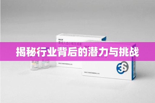 潍坊揭秘行业背后的潜力与挑战