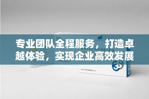潍坊专业团队全程服务，打造卓越体验，实现企业高效发展