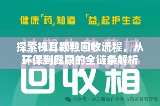 潍坊探索槐耳颗粒回收流程，从环保到健康的全链条解析