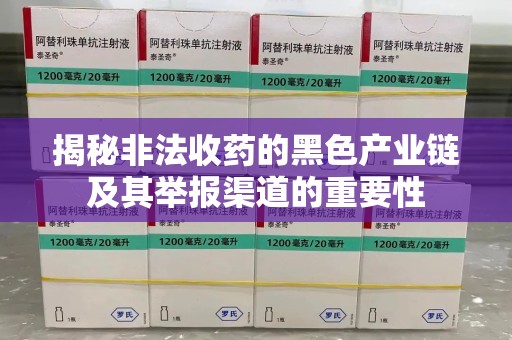 潍坊揭秘非法收药的黑色产业链及其举报渠道的重要性
