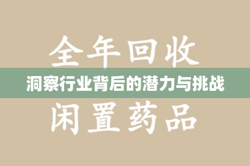 潍坊洞察行业背后的潜力与挑战