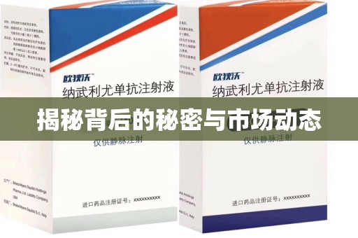 潍坊揭秘背后的秘密与市场动态